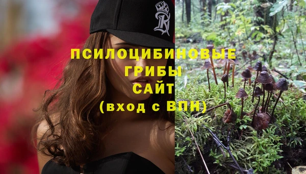 индика Абдулино